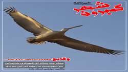 خبرنامه چند رسانه ای گمبرون شهر سال سوم/شماره 111/هفته آخر آبان ماه ۱۴۰۲