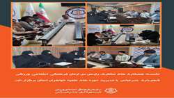 نشست همکاری های مشترک سازمان فرهنگی اجتماعی ورزشی با حوزه علمیه خواهران استان برگزار شد.
