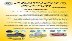 جلسه کمیته آموزش و اطلاع رسانی پیشگیری از گزش پشه آئدس برگزار شد