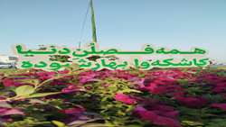 بندرعباس زیبا میزبان بهاری هم وطنان