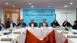 مهدی نوبانی با رأی قاطع، رئیس هیأت ورزش‌های همگانی هرمزگان شد