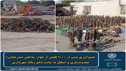  معدوم‌سازی و انتقال به سایت دفع زباله شهرداری
