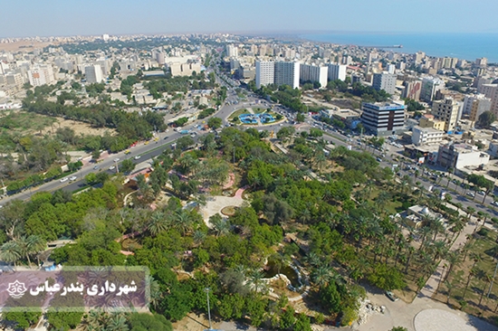 شهرداری,بندرعباس,درخت,فضای سبز,حیدری زاده,قطع, 