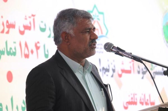 درختان,بومی,اولویت,سرسبزی,شهرمان,تلاش,عباس امینی زاده,شهردار,بندرعباس, 